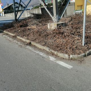 Borgosesia più pulita grazie ai &quot;giri domenicali&quot; del sindaco
