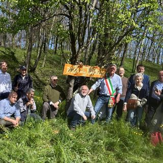 Varallo in Fiore, due giorni dedicati alle morchelle tra Parone, Quarona e Villa Virginia
