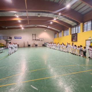 Taekwondo Gattinara: sport, passione e formazione per i giovani atleti