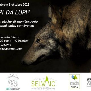 TEMPI DA LUPI? Escursioni sul tema del lupo nel Parco Naturale Alta Valsesia