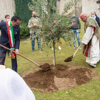 Il sindaco Botta e don Collarini piantano l'ulivo
