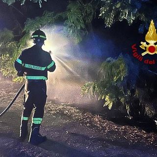 Incendio di sterpaglie in corso Rigola a Vercelli: intervento tempestivo dei Vigili del Fuoco scongiura danni maggiori