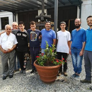 Museo Storico Etnografico di Romagnano: Collaborazione con l'Istituto Bonfantini