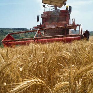 Agricoltura, dalle Regioni via libera al bonus &quot;Donne in campo&quot;