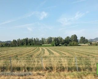 Dalla Regione nuove misure di sostegno per le aziende agroalimentari del Piemonte.
