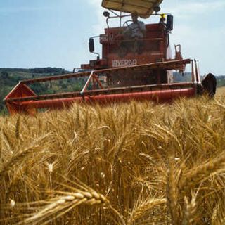 Innovazione aziendale, prorogato al 15 aprile 2024 la scadenza del bando “pacchetto giovani”.