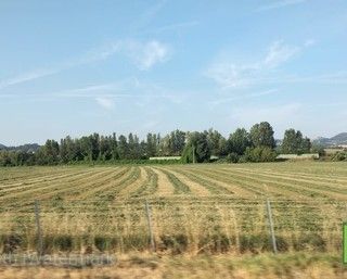 Indennità agli agricoltori operanti nelle zone montane, la Regione apre il bando da 13 milioni di euro.