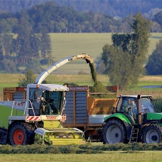 Regione, prorogata 15 marzo 2022 la scadenza del bando 2021 a favore dell’agroindustria