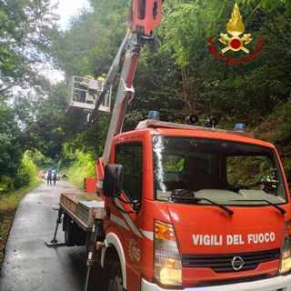 Alberi pericolanti in Valsesia, intervengono i Vigili del fuoco.