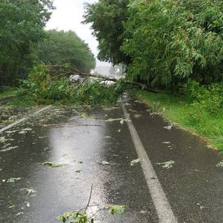 Maltempo: piante su strada, allagamenti, molti interventi dei Vigili del Fuoco nella notte, foto archivio