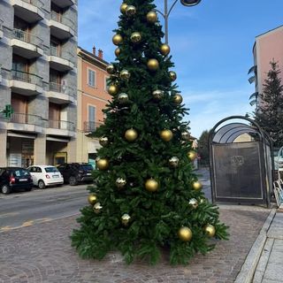 Luci e magia: a Quarona arriva il grande albero di Natale