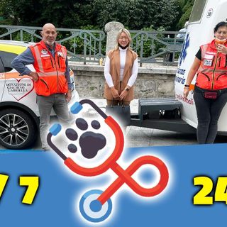 Borgosesia, attivato il servizio di ambulanza veterinaria: Assitenza agli animali per aiutare le famiglie