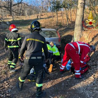 Schiacciato da un albero, è grave in ospedale