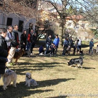 Parco Bau, nuovi appuntamenti per gli amici a quattro zampe a Pray