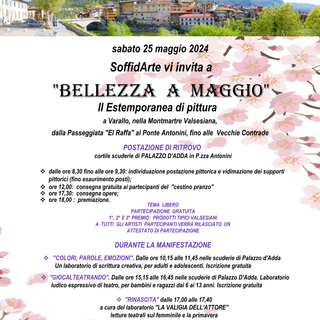 Varallo: Biennale di arte contemporanea