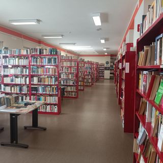 Borgosesia, crescono gli utenti della Biblioteca Resegotti: nel 2025 superate le 8.800 presenze