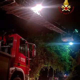 Borgosesia: Pianta su linea elettrica, Vigili del Fuoco al lavoro