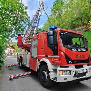 Albero pericolante a Borgosesia, intervengono i Vigili del Fuoco