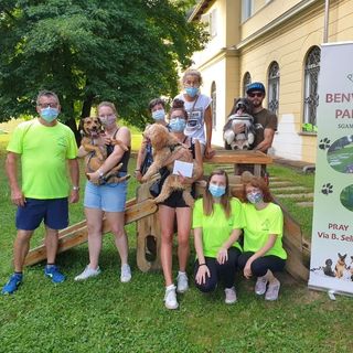 Pray, un successo il concorso fotografico per gli amici a 4 zampe: vincono Pepe, Burton e Simba