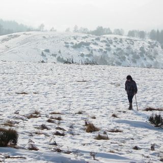 Sulla dorsale innevata (ph. Mauro Carlesso)