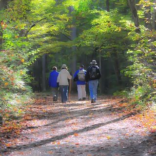 Montagne covid free: il piano piemontese