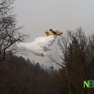 Canadair in azione sull'Artogna