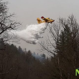 L'incendio di Postua sconfina ad Ailoche, in azione due Canadair