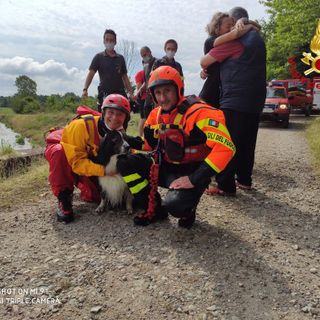 Cane incastrato in uno scolo dell'acqua sotterraneo salvato dai Vigili del Fuoco.
