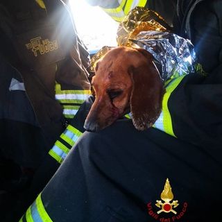 Ferito e incastrato in un tubo: salvato dai Vigili del Fuoco