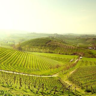 Piemonte da scoprire: un itinerario tra arte, enogastronomia e shopping con Torino Outlet Village