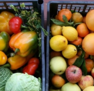 Truffa delle cassette di frutta