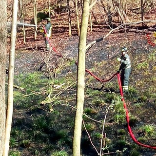 Cavi elettrici tranciati da un albero: incendio sopra Quarona
