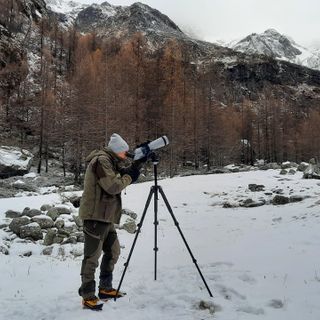 Alagna Valsesia, proseguono i censimenti della fauna alpina: oltre cento camosci avvistati e un giovane gipeto in volo