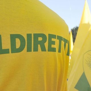 Foto di repertorio