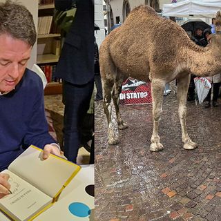 Le scintille tra Renzi e Delmastro finiscono con una querela