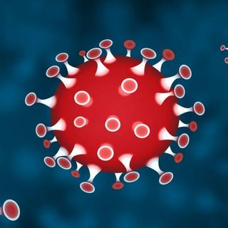 Coronavirus, ecco il bollettino della Regione Piemonte: nessun nuovo guarito nel Vercellese