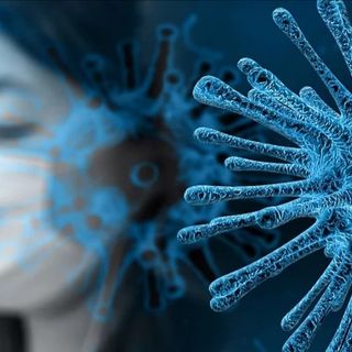 Coronavirus, ecco il bollettino della Regione Piemonte: contagi, decessi e guariti di oggi