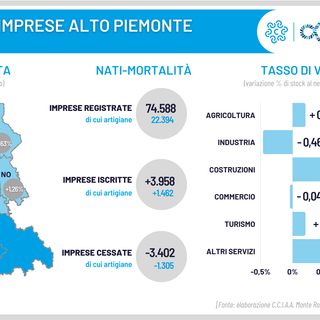 Demografia delle imprese, nel 2021 il tessuto imprenditoriale del Piemonte Nord Orientale registra un tasso di crescita medio del +0,74%