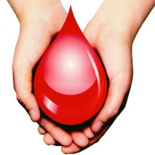 Donare il sangue salva le vite. Tutte le modalità per donare a Vercelli