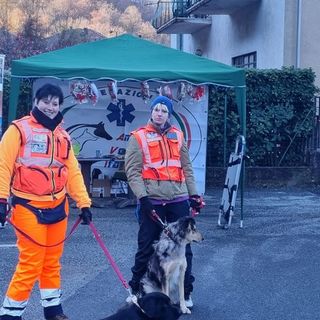 Pray, il freddo pungente frena la giornata di giochi e percorsi con gli amici a quattro zampe FOTO