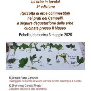 Fobello, al Museo Carestia Tirozzo la terza edizione di “Le erbe in tavola”