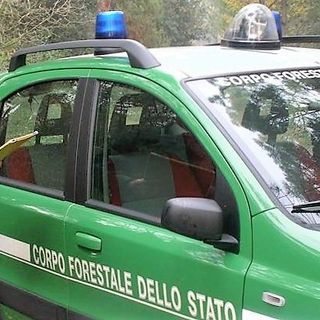 Bruciano residui vegetali ma non si può: multa da 600 euro per due uomini (foto di repertorio)