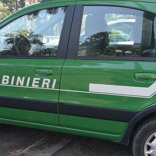 C'è il divieto ma brucia sterpaglie, multa da 600 euro per un uomo di Crevacuore (foto di repertorio)