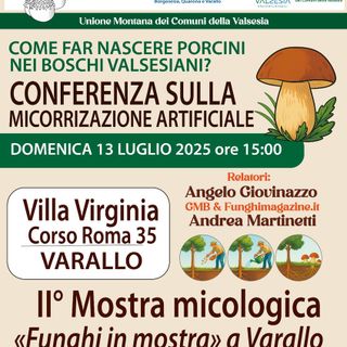 Varallo: Una interessante “due giorni” dedicata al mondo dei funghi.