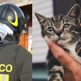 Crevacuore, Gatto cade da balcone e finisce in tubo acqua piovana: Salvato dai Vigili del Fuoco
