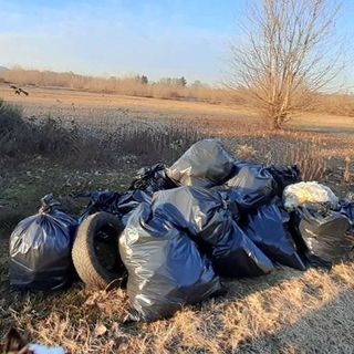 Sacchi di rifiuti abbandonati in mezzo alla campagna di Ghemme