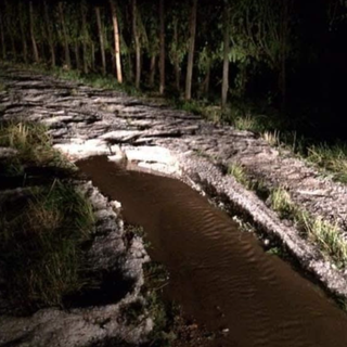 Grandinata a Gattinara, si contano i danni