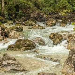 Legna gratuita per i cittadini: Varallo e Quarona lanciano l’iniziativa per pulire gli argini