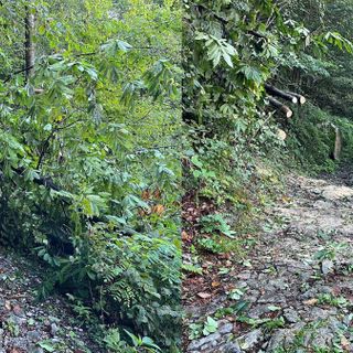 Quarona, intervento A.I.B. sul sentiero di Lombaretto