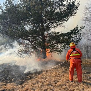 Incendio nel biellese all'Alpe Cavanna, alcune cascine evacuate nella notte